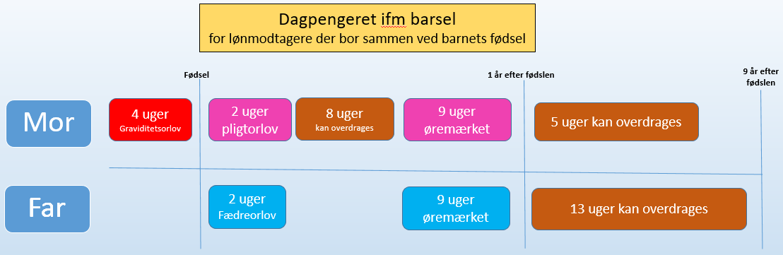 Grafik, som viser dagpengeretten ved forældreorlov for børn født efter 2022