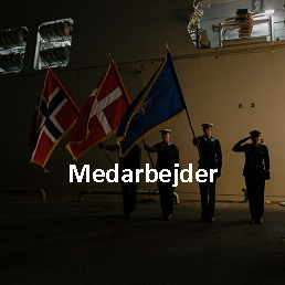 Stress_ forebyggelse - medarbejder